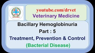 Bacillary Hemoglobinuria Part 5  treatment prevention amp control [upl. by Kidd]