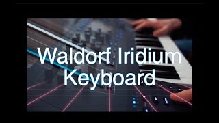 WALDORF IRIDIUM PLAYING ONLY NO TALKING [upl. by Jermayne901]