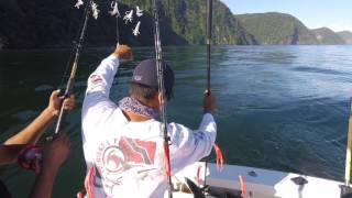 July Trinidad north coast king fishing [upl. by Sherline]