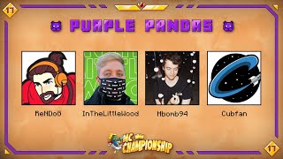 PURPLE PANDAS ANNOUNCED  MCC 17 TEAMS [upl. by Atsuj]