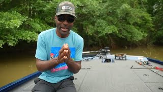 Lowe Stinger 188 Ultimate Aluminum Bass Boat  Walkthrough and Review [upl. by Giorgi]