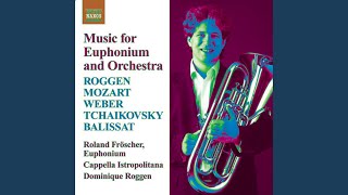 Euphonium Concerto in BFlat Major I Allegro [upl. by Dempstor]