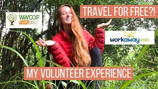 I VOLUNTEERED ON A FARM IN AUSTRALIA Heres what it was like Volunteer Abroad Vlog [upl. by Rehpotisrhc82]