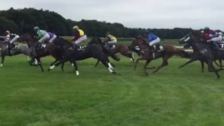 Dansk galop derby 2016 [upl. by Nitnert]