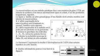 Exercice 1 la génétique humaine [upl. by Ahtelra]