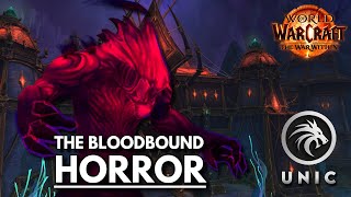 BETA Preview The Bloodbound Horror Heroic  Nerubar Palace PoV Augmentation Chonowarden Evoker [upl. by Silma]