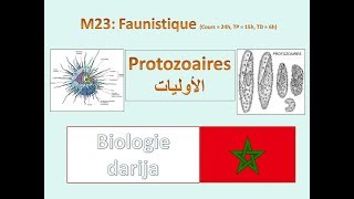 protozoaires sv3 b darija شعبة الأوليات [upl. by Metzgar]