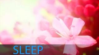 8 Hour Deep Sleep Music Inner Peace Help Beat Insomnia Delta Waves Sleeping Music ☯160 [upl. by Refotsirk]