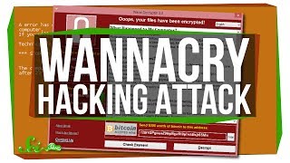 Why Was the WannaCry Attack Such a Big Deal [upl. by Desma263]