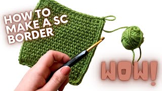 How To Single Crochet a Blanket Border  PERFECT FOR BEGINNERS [upl. by Daniala52]