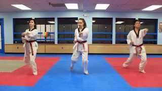 Taekwondo Basic Form 1 [upl. by Yelsek]