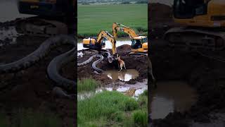 Two excavators in trouble the dog barked continuously at the giant python [upl. by Elletsyrc451]