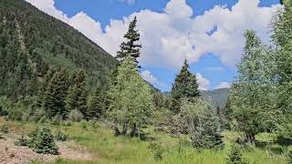 Gorgeous Mountain Ranch for sale in Jasper CO 53 riverfront acres with home and water rights [upl. by Aicnelav]