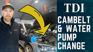 How to replace Timing belt Cambelt and water pump 20 TDI engine VAG SKODA VW SEAT AUDI [upl. by Nolaj]