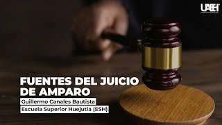 Fuentes del Juicio de Amparo [upl. by Therron]