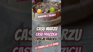 Casu marzu Casu frazzigu Casgju fracicu Come si degusta Come si conserva [upl. by Irolav]