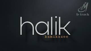 HALIK  KAMIKAZEE  BACKING TRACK [upl. by Relyt]