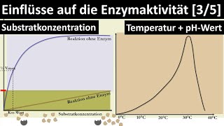 Einflüsse auf die Enzymaktivität Substratkonzentration Temperatur pHWert RGTRegel  35 [upl. by Dnomsed]