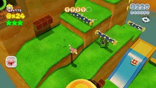 💫 Super Mario 3D World Mushroom2 Spiky Mount Beanpole 100 All Stars Location Guide Gameplay [upl. by Sidky]