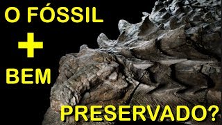 O fóssil de dinossauro mais bem preservado do mundo Pirula 217 [upl. by Erdnassac]