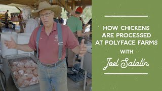 How Broiler Chickens are Processed at Polyface Farms  Joel Salatin [upl. by Fayola]