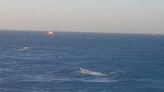 COMPILATION VESSEL MAKING WAY MIDDLE OF OCEAN [upl. by Kralc994]