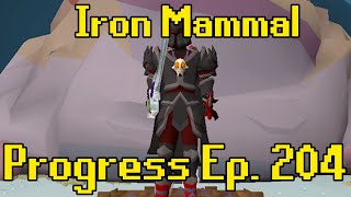 The 5000 KC Grind  Iron Mammal Progress 204 [upl. by Anaert]