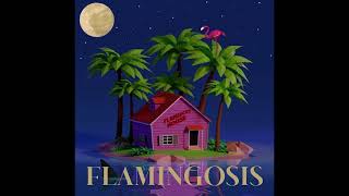 Flamingosis  Mood Provider Vol 5 Full Mixtape [upl. by Roose349]