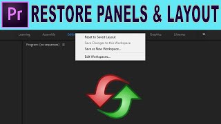 Restore Missing Panels and Adjust Layout  Adobe Premiere Pro Tutorial [upl. by Eboj466]