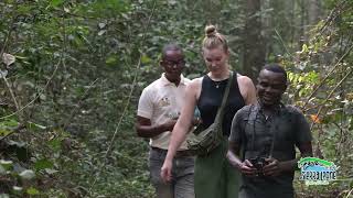 Gola Rainforest National Park  Sierra Leone National Tourist Board [upl. by Niwde394]