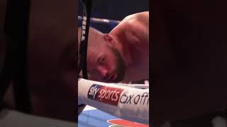 usyk vs bellew boxing bellew brutal knockout [upl. by Britteny]