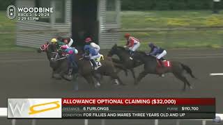 Thrilling Horse Races  Woodbine Horse Racing Replays of 10 Races at 20240629  North America [upl. by Incrocci]