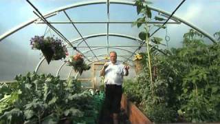 Automatic Irrigation inside a Polytunnel  V64 [upl. by Sergeant]