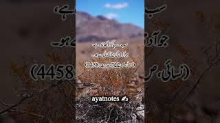 Pakiza Khana islamicquotes hadees muhammad shortvideo shorts [upl. by Alaik895]