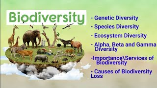 biodiversity its types alpha beta gamma diversity importance amp loss of biodiversity [upl. by Emoraj345]