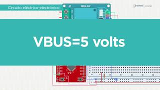 Programador de microcontroladores 17 [upl. by Parris552]