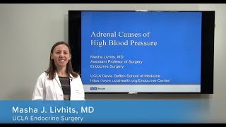 Adrenal Causes of High Blood Pressure  Masha Livhits MD  UCLAMDChat [upl. by Ahsan]