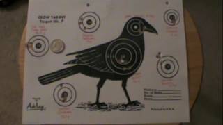 Gamo Magnum 22 10yd Pellet Accuracy Test [upl. by Cirdec859]