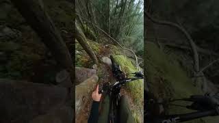 mtb dirtbikejump mtbdirt downhill dirtjump mountainbike bmxdirtjump jump [upl. by Randall]