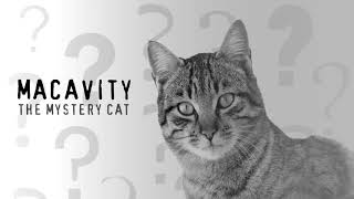 Macavity The Mystery Cat [upl. by Cutty]