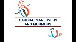 Cardiac Murmurs and Maneuvers Valsalva Handgrip Squatting Inspiration  Quiz [upl. by Adnalra]