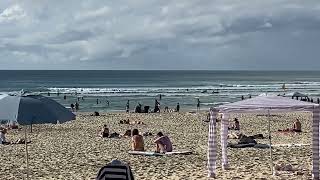 Noosa surf [upl. by Coster]