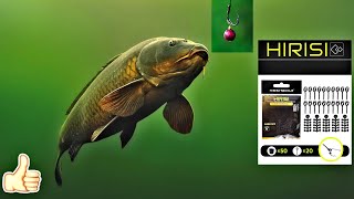 Fishing for carp using a set from Hirisi💯👍🎣 [upl. by Orabla584]