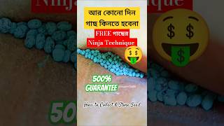 আর কোনোদিনও গাছ কিনতে হবেনা seedscollectseedsvegetablegardenfreegrowbaggardeninggardenupdiy [upl. by Rramaj]