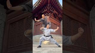 Shaolin Monk Stunt [upl. by Nibur225]