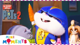 THE SECRET LIFE OF PETS 2 Official Teaser Trailer 4 2019 Animated Movie HD [upl. by Rosemare]