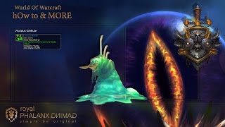 Viscidus Globule Pet from Viscidus in Temple of AhnQiraFury Warrior [upl. by Enetsirhc958]