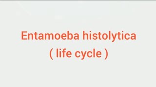 Entamoeba histolytica life cycle hindi Amoebic dysentry parasitic protozoan sciencespectrum07 [upl. by Ynetruoc861]