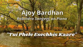 quotTui Phele Esechhis Kaarequot  Ajoy Bardhan  Instrumental Music [upl. by Isaacs]