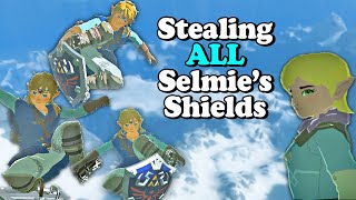 Best Routes for Taking All Shields From Selmies Shield Surfing  Zelda Breath of the Wild BotW [upl. by Mckenzie]